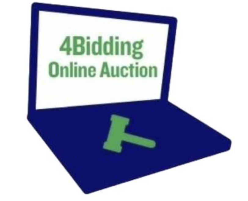 4Bidding Inc.